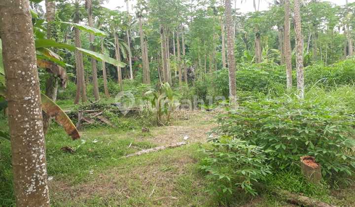 Tanah Ocean View di Saba Tanah Ocean View di Saba