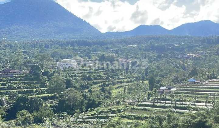 Bedugul View Land Mountain & Hill Bedugul View Land Mountain & Hill