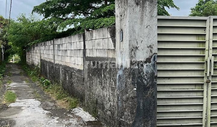 Tanah View Sawah Di Canggu Jlan Pntai Brawa Tanah View Sawah Di Canggu Jlan Pntai Brawa