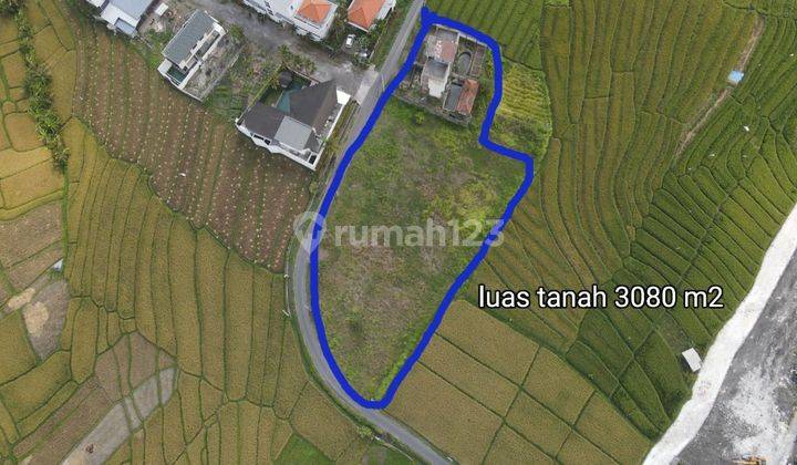 Dijual Tanah View Sawah Di Cemagi 2