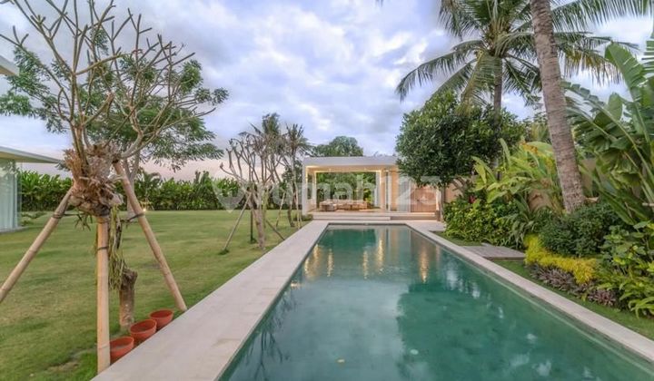 Modern Villa 5 Beds, Babakan, Canggu