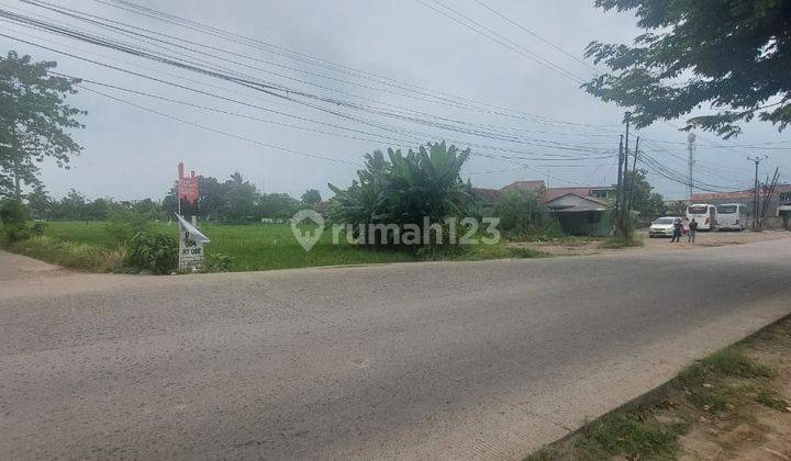 Tanah Posisi Strategis Jalan Utama Di Serang Cibarusah Cikarang 2