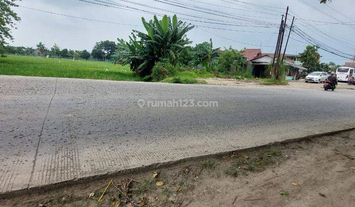 Tanah Posisi Strategis Jalan Utama Di Serang Cibarusah Cikarang 1