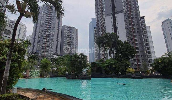 Apartemen Taman Rasuna Said Pool View 3 BR Di Jakarta Selatan  1