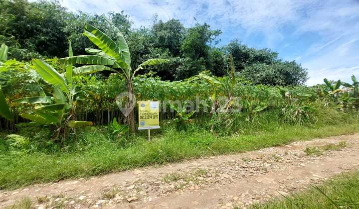 Tanah Kavling Bri Bebas Banjir Siap Bangun di Cilodong Depok