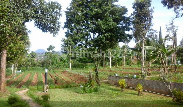 Tanah Lokasi Keren 10 Menit Dari Alun2 Ciwideuy. Ciwidey Bandung