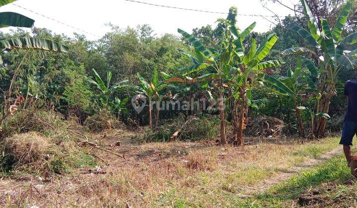 Tanah 980 m² Murah Dekat Kopasus Kartasura 1