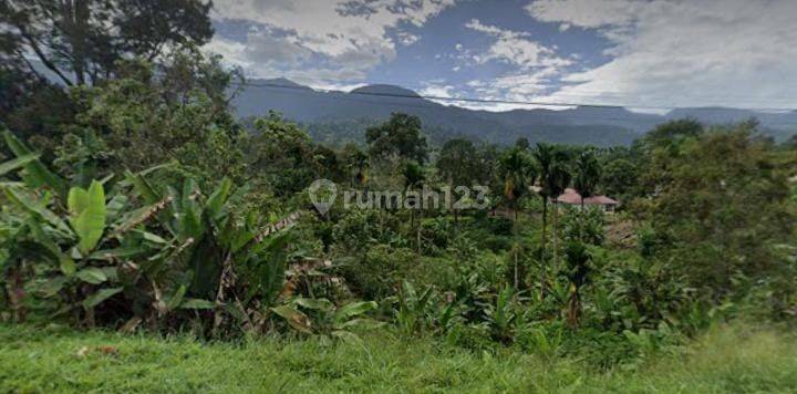 Dijual Tanah Dipinggir Jalan Tanjuang Baringin Sumatra Barat 1