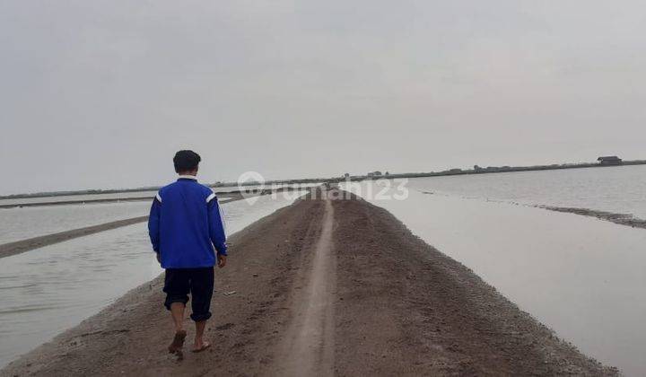 Tanah Tambak 4.5 ha di Krawang 2