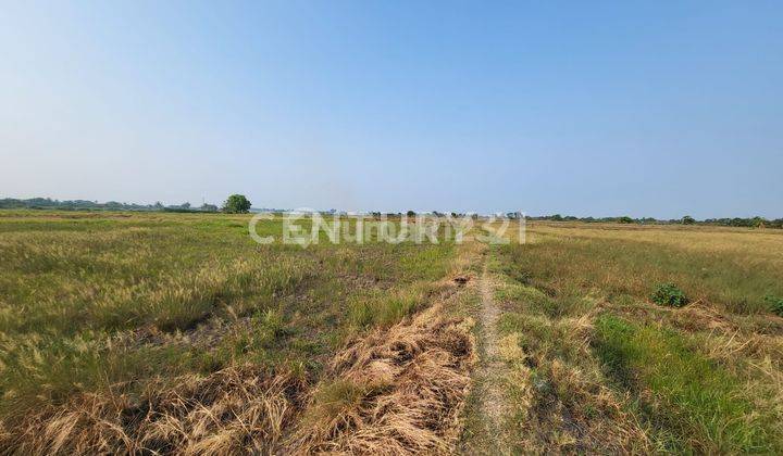 Tanah Murah Dekat Marunda Centre Rp 200.000/m2 2