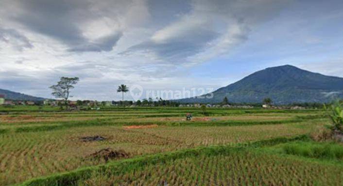 Tanah Di Pakan Labuah Tigobaleh Bukittinggi 1