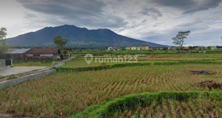 Tanah Di Pakan Labuah Tigobaleh Bukittinggi 2