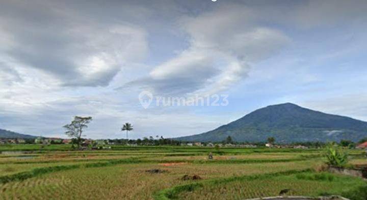 Dijual Tanah Di Pakan Labuah Tigobaleh Bukittinggi 2