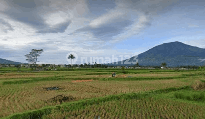 Land For Sale in Pakan Labuah Tigo Baleh Bukittinggi Land For Sale in Pakan Labuah Tigo Baleh Bukittinggi