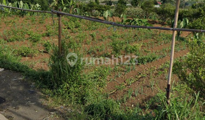 Tanah Lokasi Di Puncak. Cianjur
