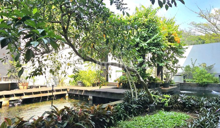 Rumah Teduh Asri High Ceiling Kawasan Hijau di Bsd 2