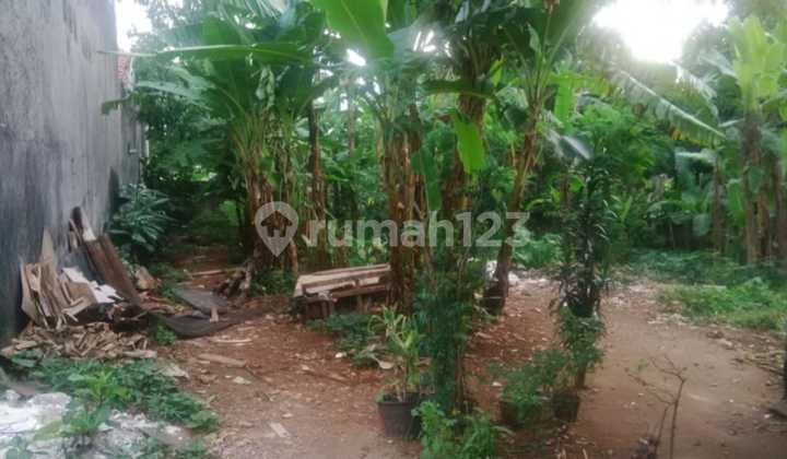 Dijual Cepat Tanah Di Bintaro Pesanggrahan Jakarta Selatan Dijual Cepat Tanah Di Bintaro Pesanggrahan Jakarta Selatan