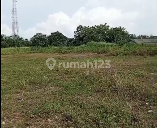 Tanah Luas Di Jual Di Kelapa Dua Tangerang Banten