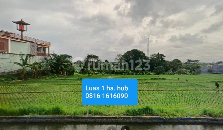 Canggu Housing Land, Jl. pantai Nyanyi Bali Canggu Housing Land, Jl. pantai Nyanyi Bali