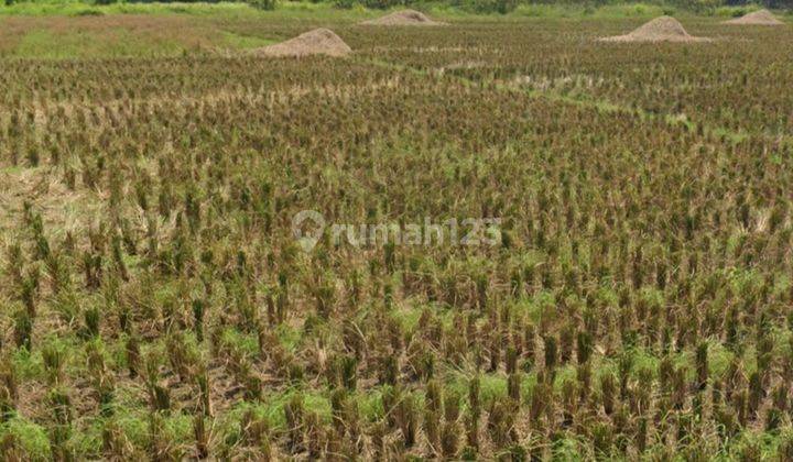 Tanah Untuk Gudang Jl.proklamasi Karawang Barat 1