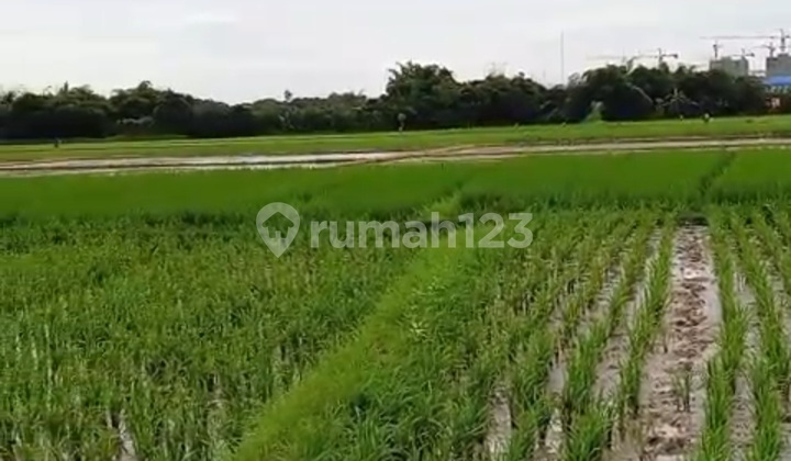 Tanah Zona Industri, 2,5 Ha - Desa Kedawung Subang, Dekat Smartpolitan.