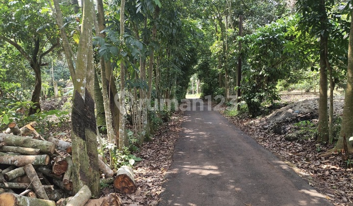 Subang land, Ciracas Industrial Zone - Subang.