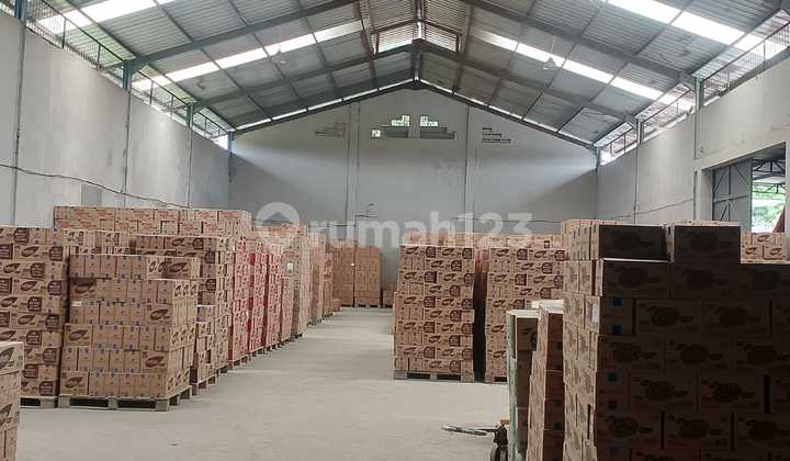 Warehouse for Rent Cheap in Cengkareng 1700 Meters Fast Warehouse for Rent Cheap in Cengkareng 1700 Meters Fast