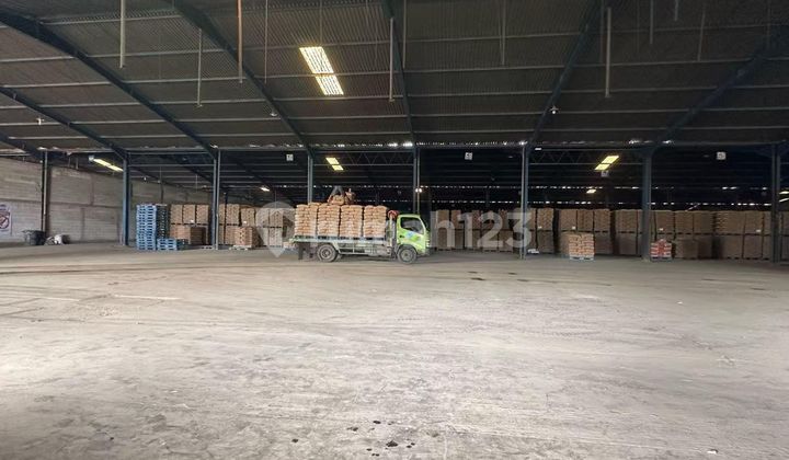 Disewakan Gudang Jln Daanmogot Kalideres Jakarta Barat Disewakan Gudang Jln Daanmogot Kalideres Jakarta Barat