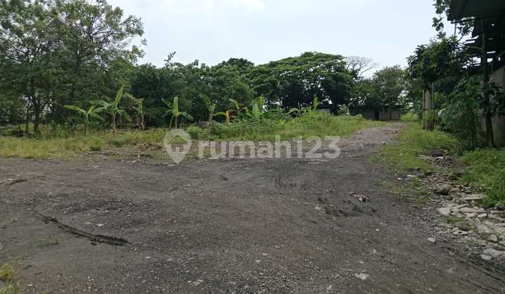 Super Cheap Plot For Rent In Neglasari Only 12.5 thousand /meter Super Cheap Plot For Rent In Neglasari Only 12.5 thousand /meter