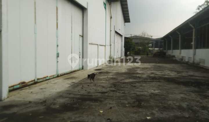 For Quick Sale Cheap Large Warehouse 1.8 Ha In Cikande