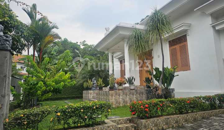 Classic Modern One-Story House with a Spacious Yard Classic Modern One-Story House with a Spacious Yard