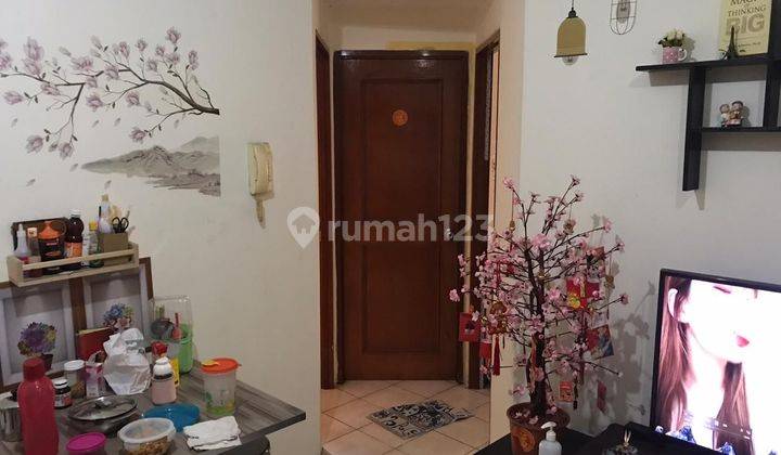 Apartemen Mediterania Gajah Mada, 3br, luas 55m2, siap huni 2