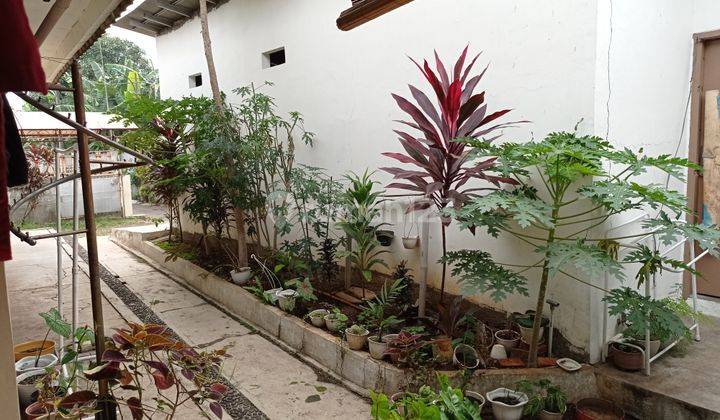 Ir 21021 Dijual Rumah Dengan Lahan Luas 4