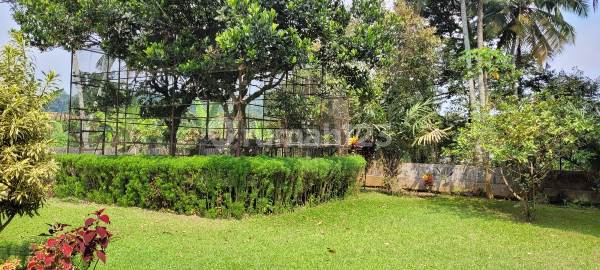Tz - Rumah dan Tanah di Megamendung Cocok untuk Villa 2