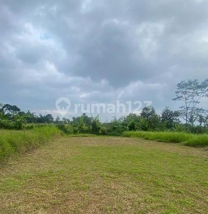 Mn - Dijual Tanah di Cikole Sukabumi Mn - Dijual Tanah di Cikole Sukabumi