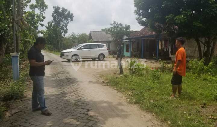 Lahan Perkebunan di Desa Pojok, Purwosari Bojonegoro Jawa Timur, Bojonegoro 1