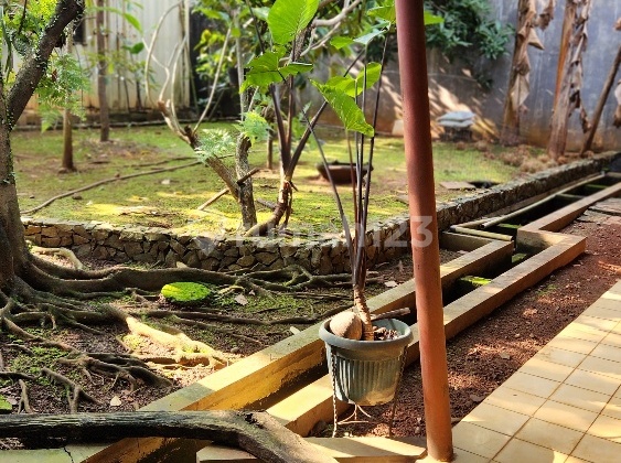 Rumah 1 Lantai Design Artistic, Adem dan Banyak Oxygen di Puspita Loka BSD City