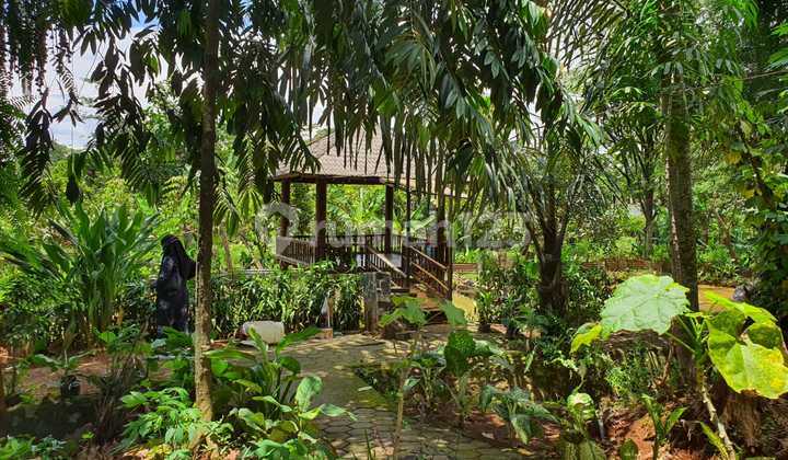 Dense land suitable for plantations/livestock in Sawangan Depok, close to Jakarta.