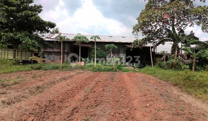 Kavling siap bangun di jalan provinsi Syech mubaroch daerah Tigaraksa - Tangerang Kavling siap bangun di jalan provinsi Syech mubaroch daerah Tigaraksa - Tangerang