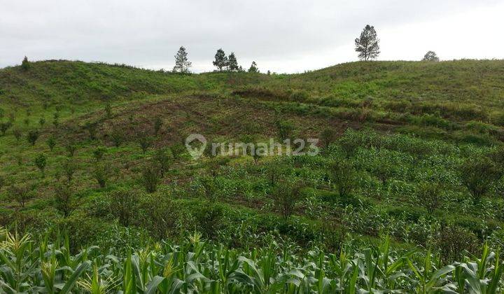 Dijual Tanah Desa Kacinambun di Puncak 2000 Siosar, Kabanjahe 2