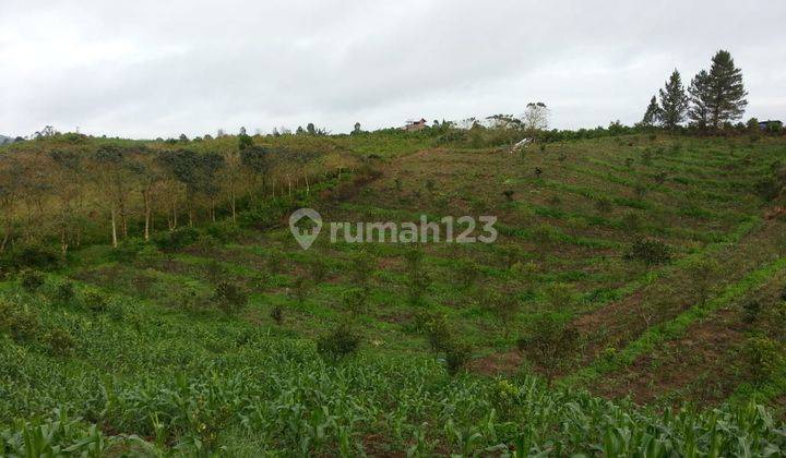 Dijual Tanah Desa Kacinambun di Puncak 2000 Siosar, Kabanjahe 5