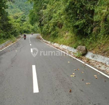 Tanah Kebun Daerah Pria Laot di Sabang, Aceh T 0153 2