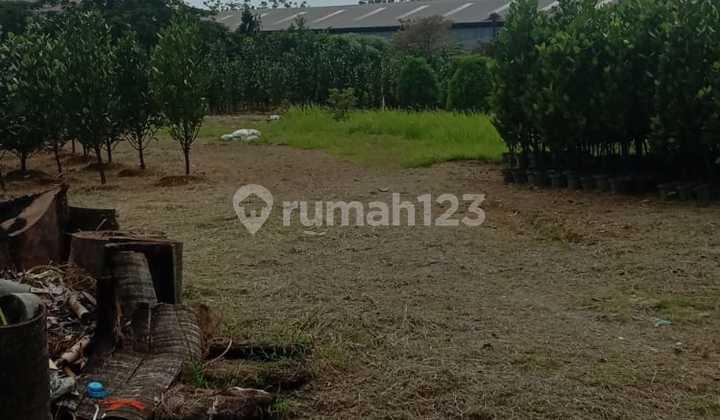 Dijual Tanah Komersil di Cukanggalih, Curug, Tangerang t 0158