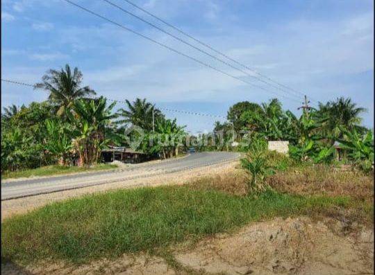 Tanah Dijual Dilokasi Pangkalan Susu, Dekat Aek Teluk Kiri, Asahan 2