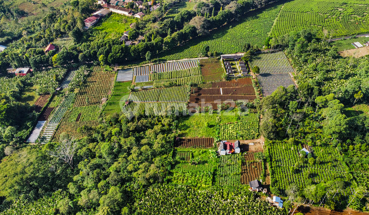 For Sale Land in Pagar Alam, Jl. Laskar Wanita Mentarjo Gunung Gare, Dempo Makmur North Pagar Alam, South Sumatra