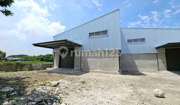 Disewa Gudang Siap Huni Pergudangan Camelia 3 Kapuk Disewa Gudang Siap Huni Pergudangan Camelia 3 Kapuk