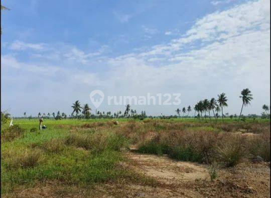 Tanah Dijual Dilokasi Pangkalan Susu, Dekat Aek Teluk Kiri, Asahan 1