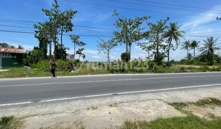 Dijual Tanah Jl. Besar Hamparan Perak, Klumpang, Deli Serdang 2