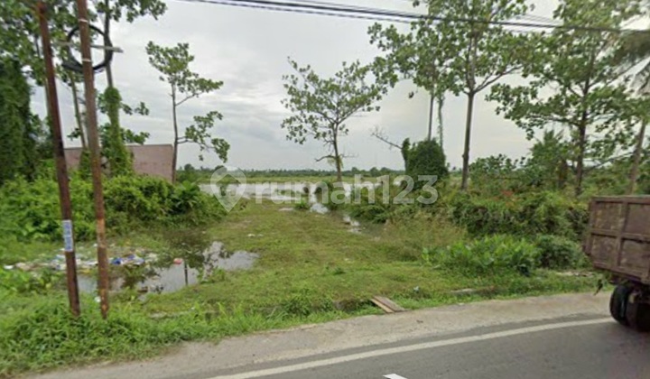 Dijual Tanah Jl. Besar Hamparan Perak, Klumpang, Deli Serdang 1