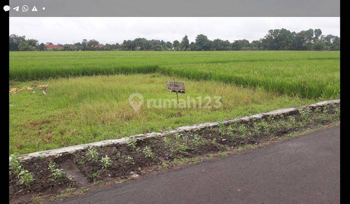 Jual Tanah Di Klangenan Cirebon Harga Per Meter Terbaru